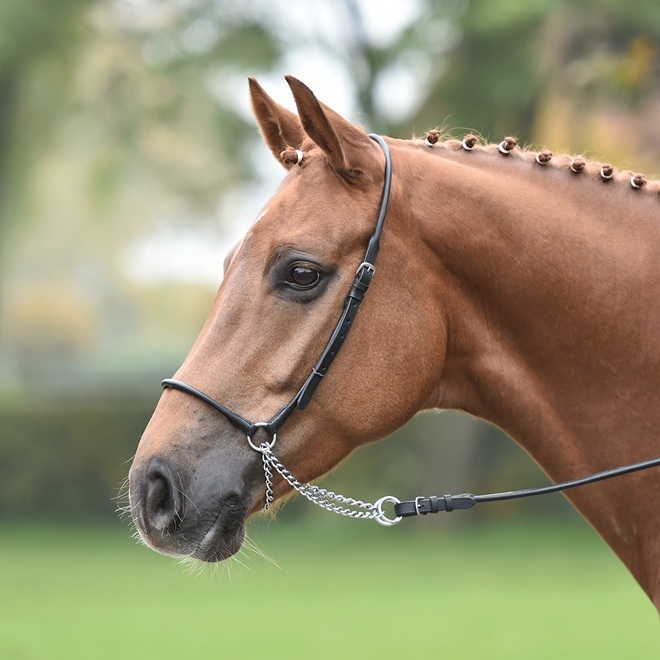CAPEZZA IN CUOIO DA PRESENTAZIONE Capezze Cuoio 